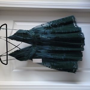 Tobi Luxxel Green Formal Dress